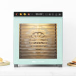 Fruit Dehydrator FD3501